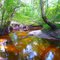 Swift Creek