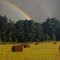 Hay field rainbow