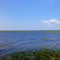 Lake Okeechobee Florida