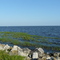 Lake Okeechobee midday, July