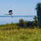 Laguna Atascosa Wildlife Refuge