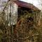 Hidden back in the woods ( Hall Mill ~ Meriwether County, GA.)