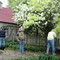 몰입 Callaway Gardens Pine Mountain GA