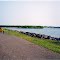 Banana Bicycles in Pierre, SD, on Missouri River