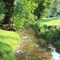 Jackson Park creek