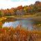 Lake at McDunough Nature Preserve