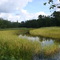 Potato´s river