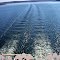 SHOWBOAT BRANSON BELLE - PLOWS ON