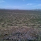 looking west north west from Black Butte