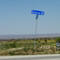Pearblossom Highway