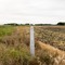 Obelisk marks Canada/USA border, Emerson, Man. and Noyes, Minn.