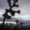 Dark Desert Skies