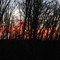 Allegheny Hill sunset through the woods