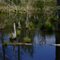 Sardis Nature Trail 1