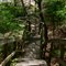 Sardis Nature Trail 3