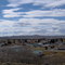 Looking West Over Pinedale
