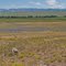 Toward the Wind River Range. Taken near the start of the Burnt Lake Road