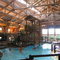 The Davy Crockett Ranch Swimmingpool