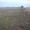 Field