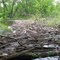 Log jam