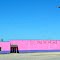 The Pony Strip Joint