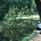 Spring Lake Park