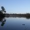 Pollock Ferry Boat Landing