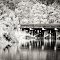 Hwy 90 Bridge