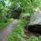 The path to the falls