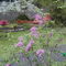 2373 backyard April 2005