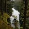 Mossy river