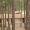 Campamento Yavapines