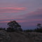 Pioneer Park @ Dusk