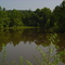 Foster Pond (looking north)