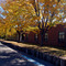 SAS Building in the fall