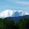 View of Mount Rainier from the Northeast