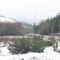 Near Crystal Mountain, Washington