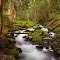 Goat Creek
