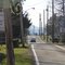 Looking West down Wilderness Rd (Newbern, Virginia)
