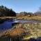 Marsh off Bay Road