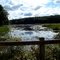 Marsh