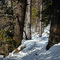 Snowy trail