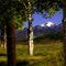 Pagosa Peak by D. West Davies