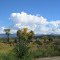 along the San Juan River in Pagosa Springs