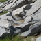 Gouged rocks along stream bed