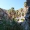 Palm Canyon