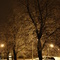Icy Night