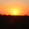 "Sunset at San Juaquin Valley"