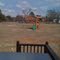 big back yard with play house