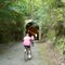 Bushy Mountain Tunnel - Silver Comet Trail